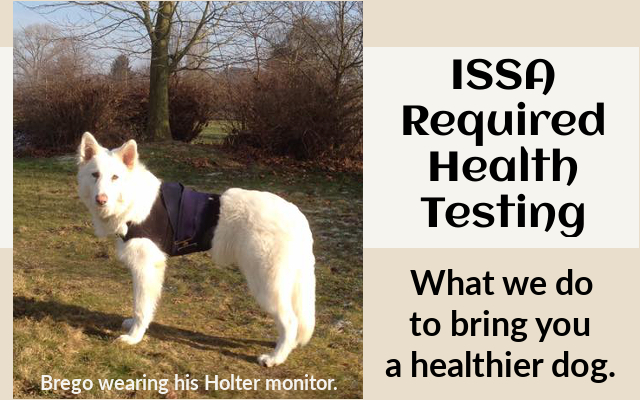 ISSA Required Health Testing bnner